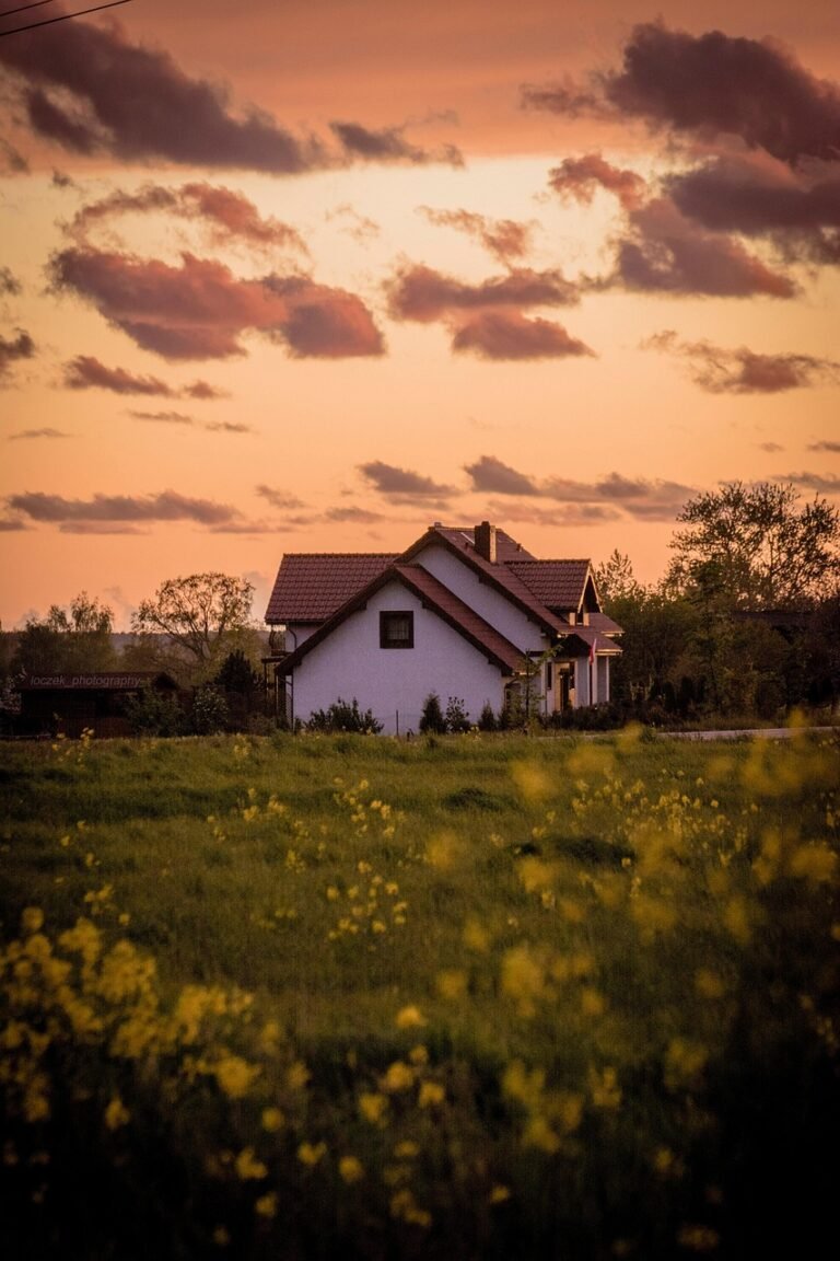 house, meadow, beautiful flowers, grass, flowers, home, building, spring, flower wallpaper, field, nature, flower background, sky, clouds